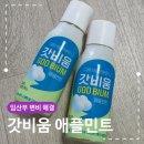 에치와이약대점 | 임산부 변비 해결 갓비움 애플민트 후기