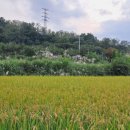 엔젤민박 이미지