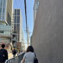 성수 엠프티 아식스 팝업 젤카야노 언어펙티드 오프라인 라플 당첨 후기