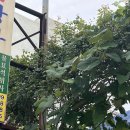 충남석재상사