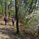 김유정 5월에 산골 이미지