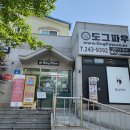 도그파우 이미지