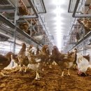 평사농장 이미지