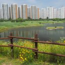 배곧생명공원 티스토리