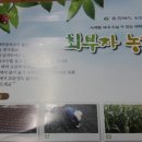 최부자농장 이미지