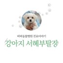 비바동물병원 이미지