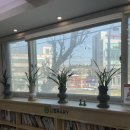 삼각지연합의원 이미지