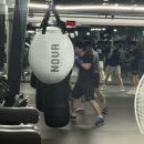 복싱인사이드 헝크짐 이미지