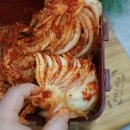갓담근 맛있는김치 100%국산, 김치주문 실패 없는 후기!