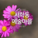 레드몽키화실