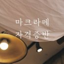 봄의손메