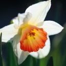 온유정원 이미지