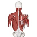 연지한의원 이미지