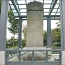 벚나무길 이미지