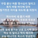 초교동창회 (비금초교 42회) 이미지