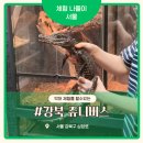 서울 아이랑 가볼만한곳 강북 쥬니버스 후기 악어 체험부터 카멜레온, 도마뱀까지 직접 만져본 체험형...