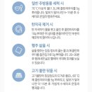 마마포레스트 이미지