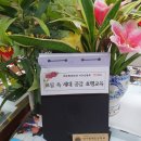 용계초등 이미지