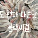 블랙씨걸 이미지