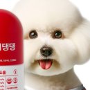 헬로댕댕 이미지