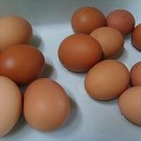 고기1통 이미지