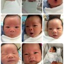 강인성