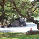 숲속의안뜰 이미지