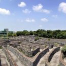 제주도건강랜드 이미지