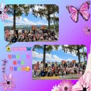 아이랜드어린이집 이미지