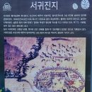 서귀진지 이미지