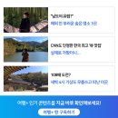 무궁화100리길 | 가을 정취 종합선물세트 - 울산 태화강 생태역사문화여행
