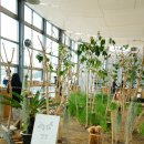 댕댕랜드 이미지