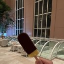 동남여관 | 생일 기념 제주도 여행 2박 3일 힐링 코스