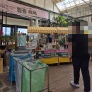 숲속애소 | [전북 익산_ 숲속애소 / 왕궁포레스트 방문 후기]