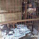 용재농장 이미지