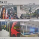 다이노클라이밍 이미지