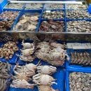 수원농수산물도매시장 | 수원시농수산물도매시장 방문 솔직 후기 (feat. 새조개 샤브샤브 만들어 먹기)