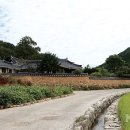 금닭 이미지