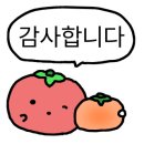 부안자동차유리