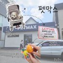 주주애견할인매장 | [경기도 용인] 창고형 대형 매장에서 만난 용인애견용품 펫막스 솔직 방문기 (개모차 시승 &amp; 할인 제품...