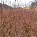 미림농원 이미지