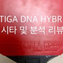 스티가 DNA 하이브리드 점착러버를 시타 및 리뷰합니다 이미지