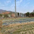 강하보건지소 이미지