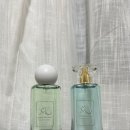 센트 모모 (SCENT M.O.M.O.)