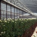 무등농원 이미지