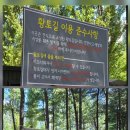 경춘선숲길(도깨비시장 앞) 이미지