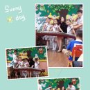 태강삼육 이미지