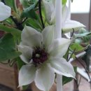 하계역 1번출구 이미지