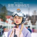 모나 용평 리조트 렌탈샵 용평 리조트 스키장 가격
