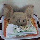 제곡리 경로당 이미지